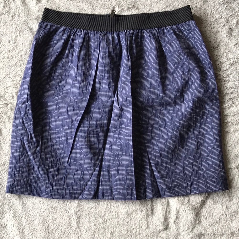 Ann Taylor skirt